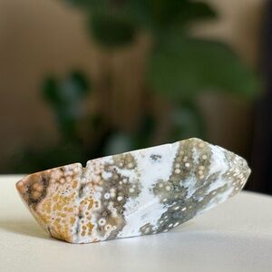 Small Ocean Jasper Crystal Freeform Druzy Orbicular Jasper